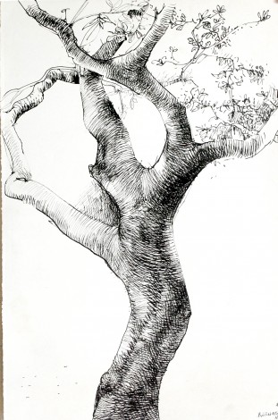 Atitoe_II