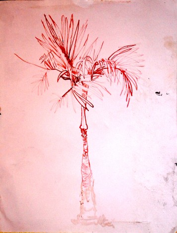 Baby Palm 2 Bé