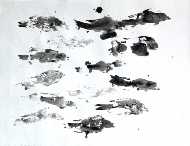 Fish Painted With Cuttle fish Ink Togo