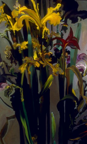 Iris
