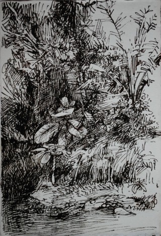 Little brook
