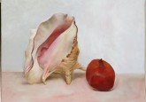 Shell & Pomegrane