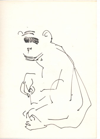 Smile (Zoo iii)