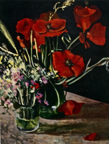 Wild Poppies