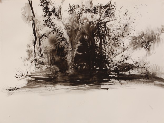 Valley House Pond