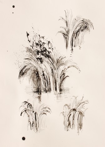 Reed and ink Valley House pond