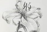 A Lily Near the End