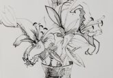 Lilies in Water